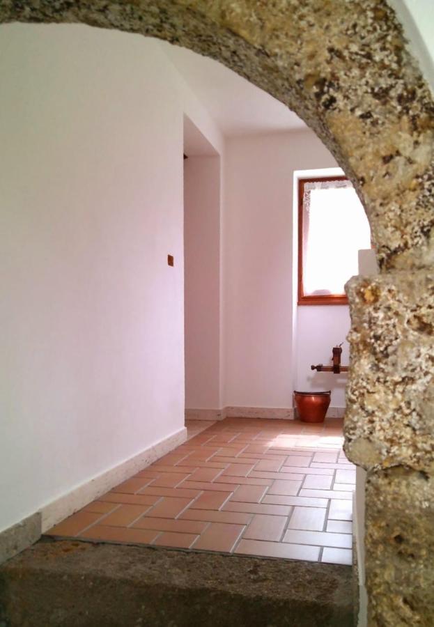Cjasa Da Puci Apartment Ovaro Luaran gambar