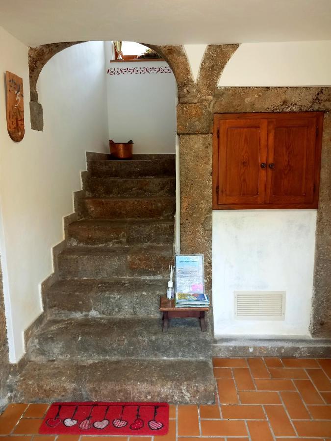 Cjasa Da Puci Apartment Ovaro Luaran gambar