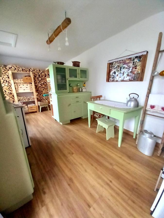 Cjasa Da Puci Apartment Ovaro Luaran gambar
